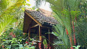 Amor Arenal: Image 7