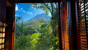 Amor Arenal: Image 8