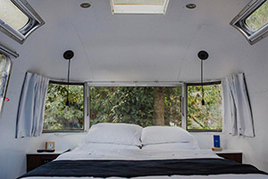 AutoCamp Russian River: Image 7