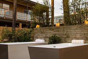 Dr. Wilkinson’s Backyard Resort + Mineral Springs: Image 5