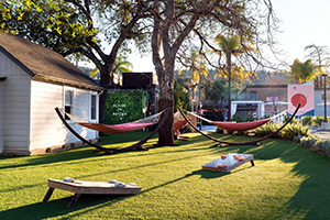 Dr. Wilkinson’s Backyard Resort + Mineral Springs: Image 7