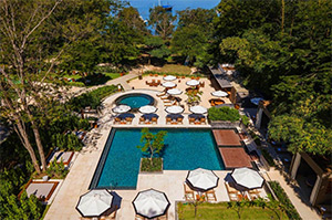 El Mangroove: Image 1