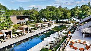 El Mangroove: Image 5