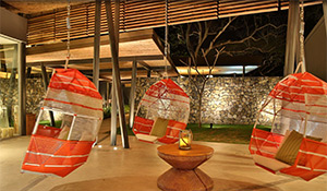 El Mangroove: Image 6