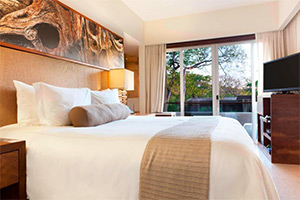 El Mangroove: Image 8