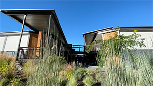 The Finch Walla Walla: Image 3