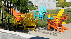 The Finch Walla Walla: Image 6