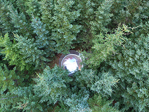 Five Million Stars Hotel (a.k.a. Bubble Hotel): Image 2