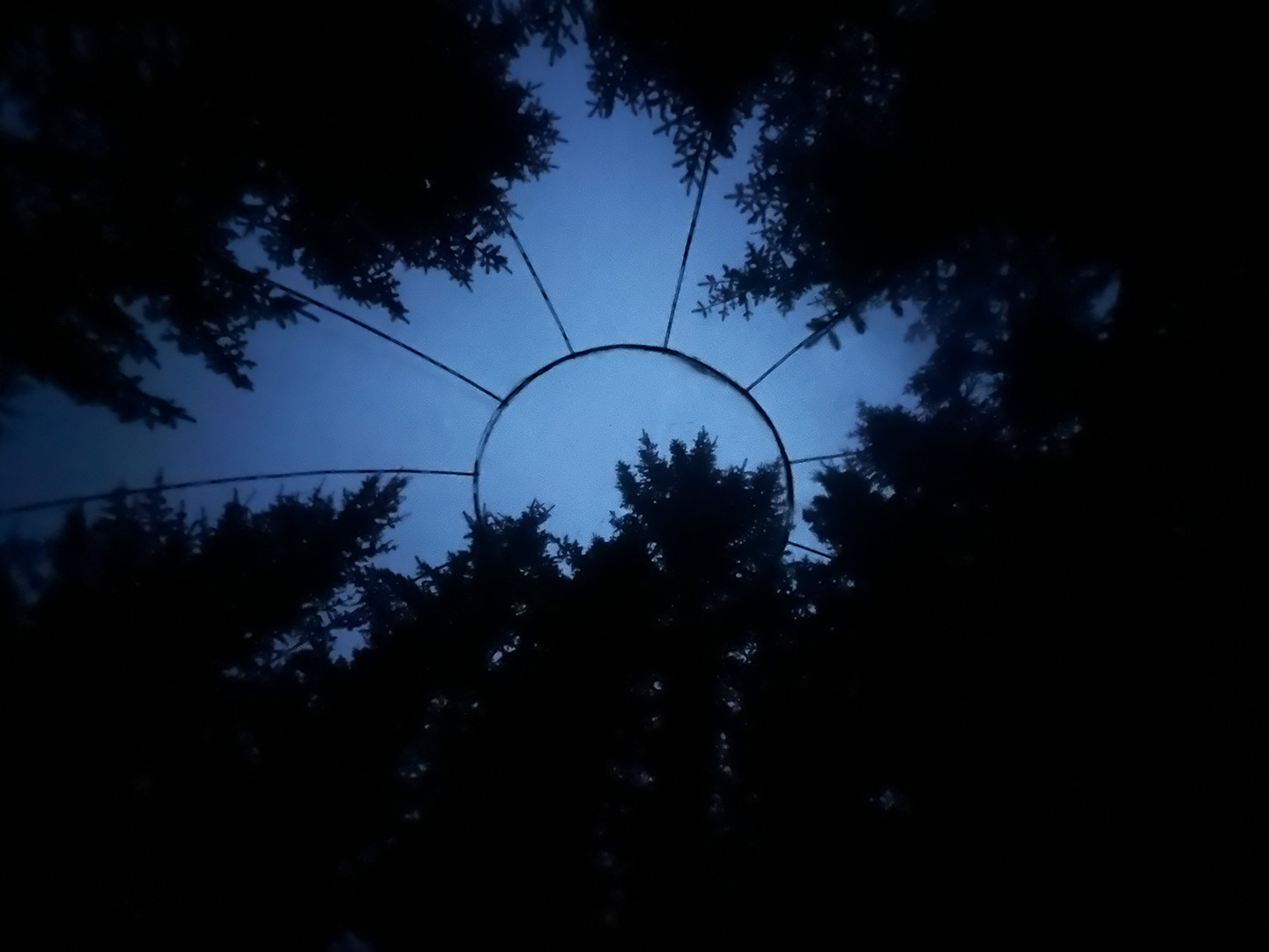 Five Million Stars Hotel (a.k.a. Bubble Hotel): Image 8