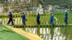 Four Seasons Chiang Mai: Image 4