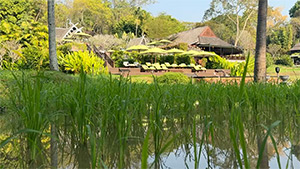 Four Seasons Chiang Mai: Image 6
