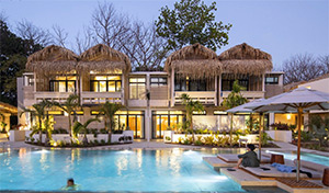 Gilded Iguana: Image 2