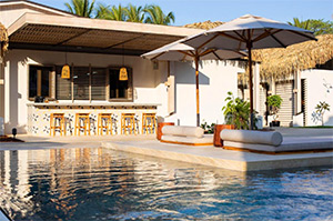 Gilded Iguana: Image 3