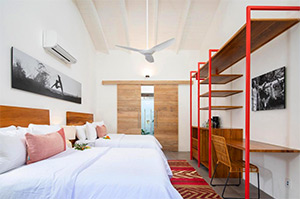 Gilded Iguana: Image 4