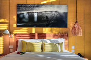 Gilded Iguana: Image 5