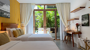 Gilded Iguana: Image 6