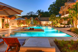 Gilded Iguana: Image 7