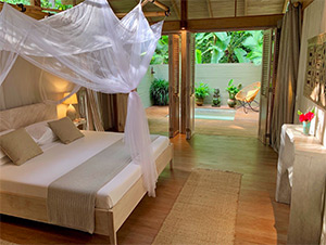 Golfo Dulce: Image 3