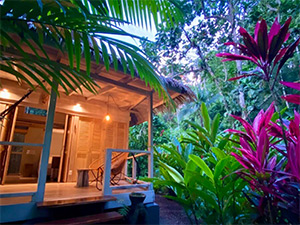 Golfo Dulce: Image 4