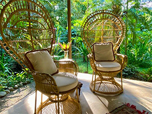 Golfo Dulce: Image 6