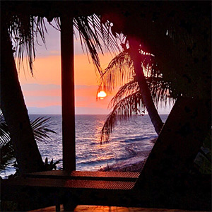 Golfo Dulce: Image 8