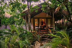 Habitas Tulum: Image 8