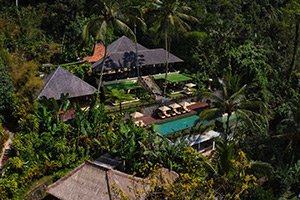 Hanging Gardens of Bali: Image 4