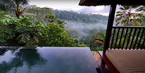 Hanging Gardens of Bali: Image 8