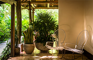 Harmony Hotel: Image 1