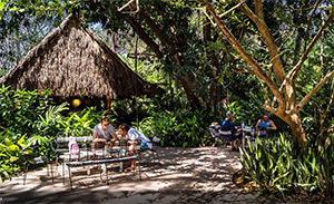 Harmony Hotel: Image 6