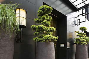 Hotel Marignan: Image 4