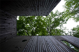 Juvet Landscape Hotel: Image 5