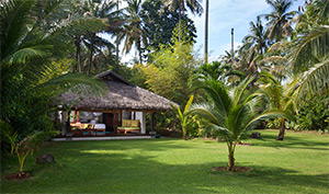 Koyoa Island Resort: Image 6