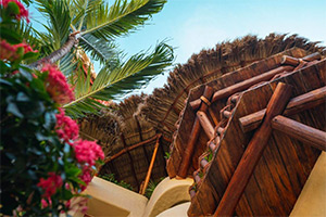 La Villa Luz: Image 5