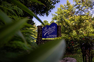 Ladera Resort: Image 7