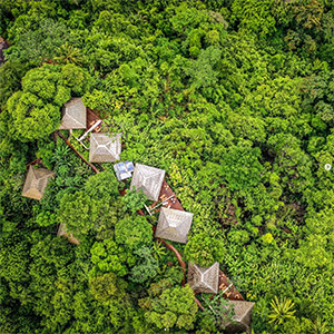 Lapa Rios Lodge: Image 1