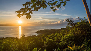 Lapa Rios Lodge: Image 5