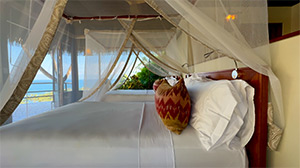 Lapa Rios Lodge: Image 7