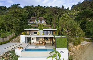 Mint Santa Teresa: Image 2