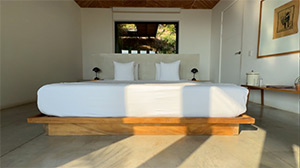 Mint Santa Teresa: Image 3