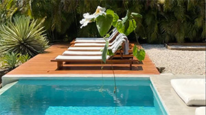 Mint Santa Teresa: Image 4