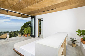 Mint Santa Teresa: Image 6