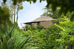Nayara Tented Camp: Image 1