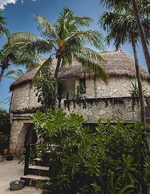 Nest Tulum: Image 1