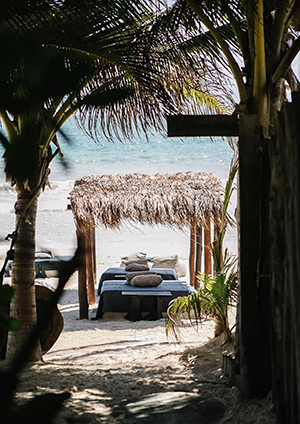 Nest Tulum: Image 4