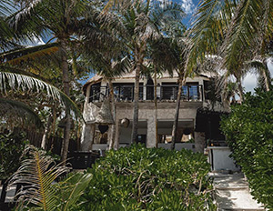 Nest Tulum: Image 5