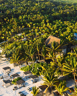 Nest Tulum: Image 6