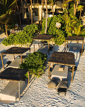 Nest Tulum: Image 7