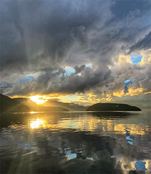 Out There – Off Leash: Image 1