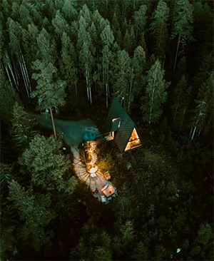 Pan Treetop: Image 1